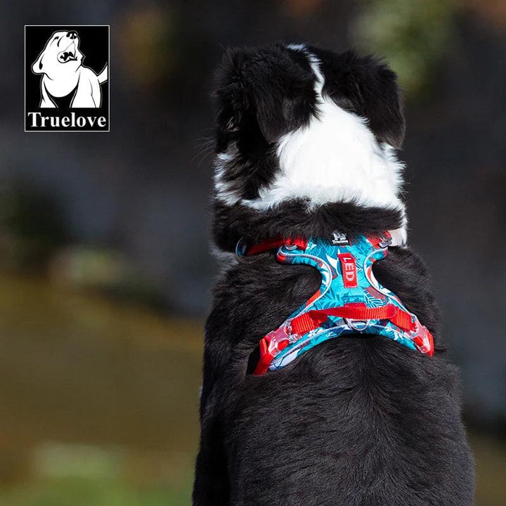 Truelove Pet Harness - themiraclebrands.com