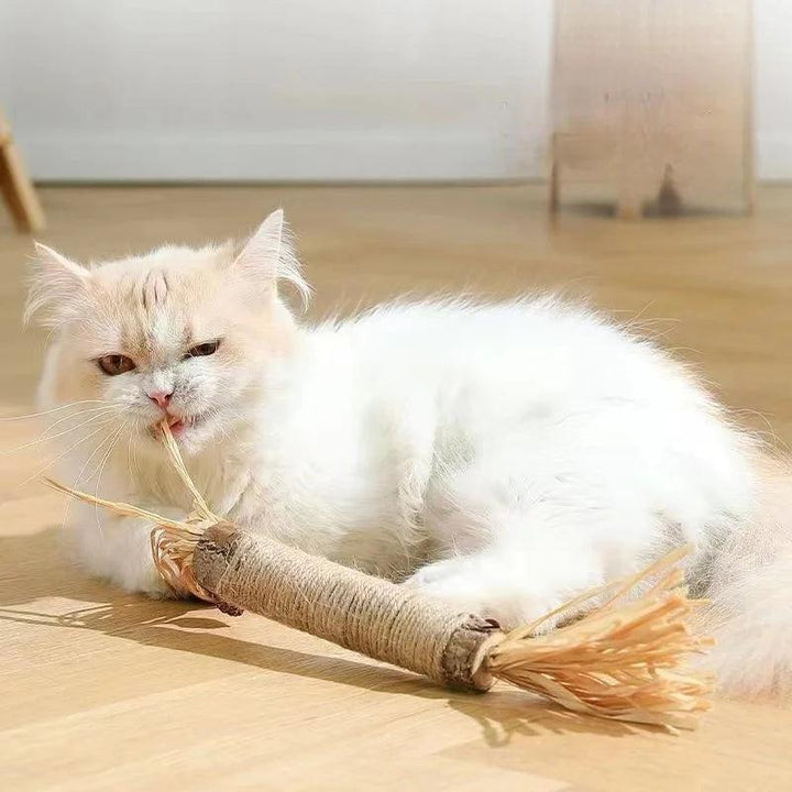 Matatabi Catnip Sticks - themiraclebrands.com