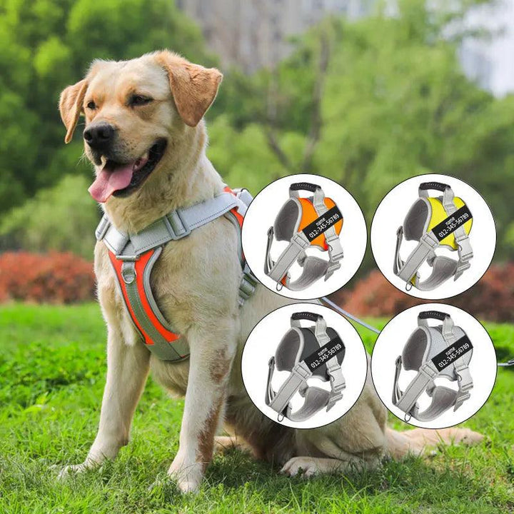 Customized Name Dog Harness - themiraclebrands.com