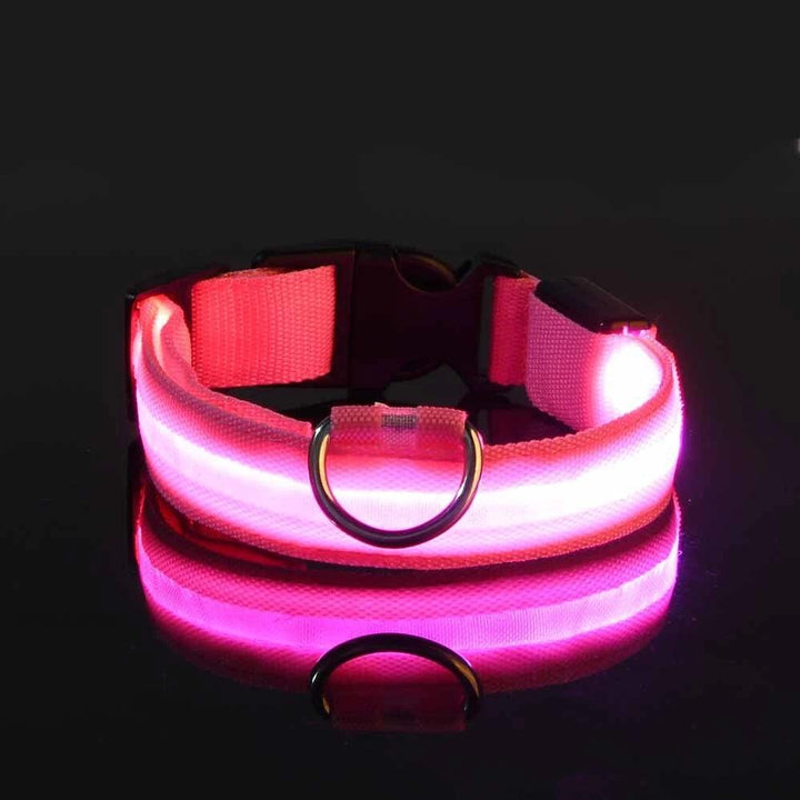 Nylon LED Dog Collar - themiraclebrands.com