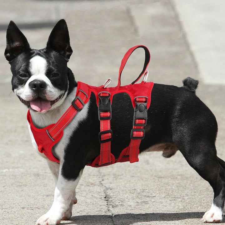 Reflective Dog Harness Vest - themiraclebrands.com