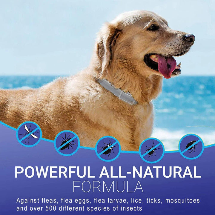 SEISSO Flea & Tick Repellent Collar - themiraclebrands.com