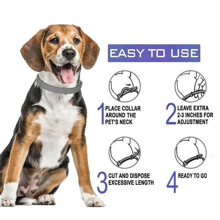 SEISSO Flea & Tick Repellent Collar - themiraclebrands.com