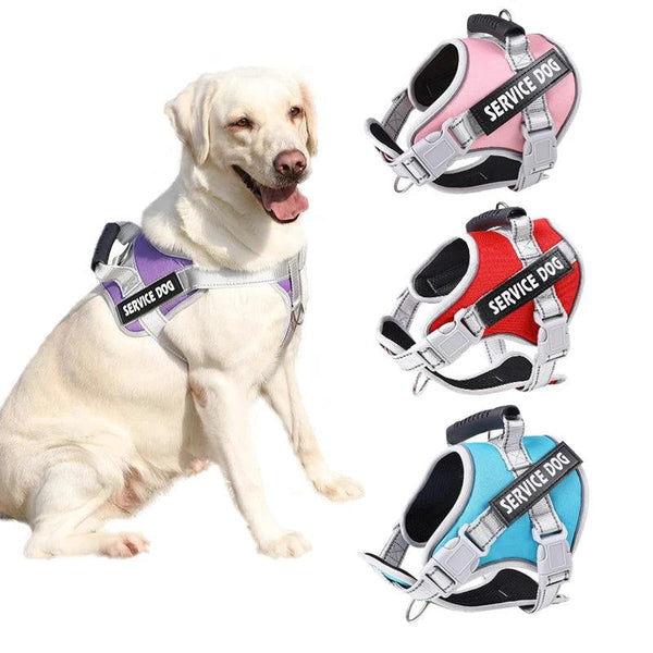 Personalized Reflective Nylon Dog Harness - themiraclebrands.com