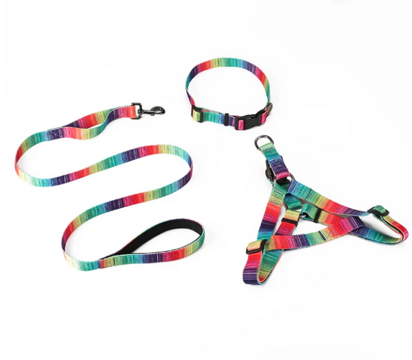 Matching Collar Harness Leash Set for Pets