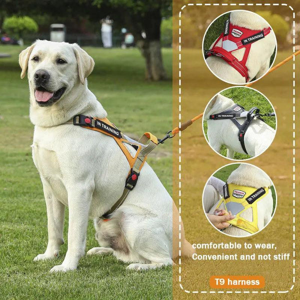 Personalized Reflective Dog Harness Vest - themiraclebrands.com