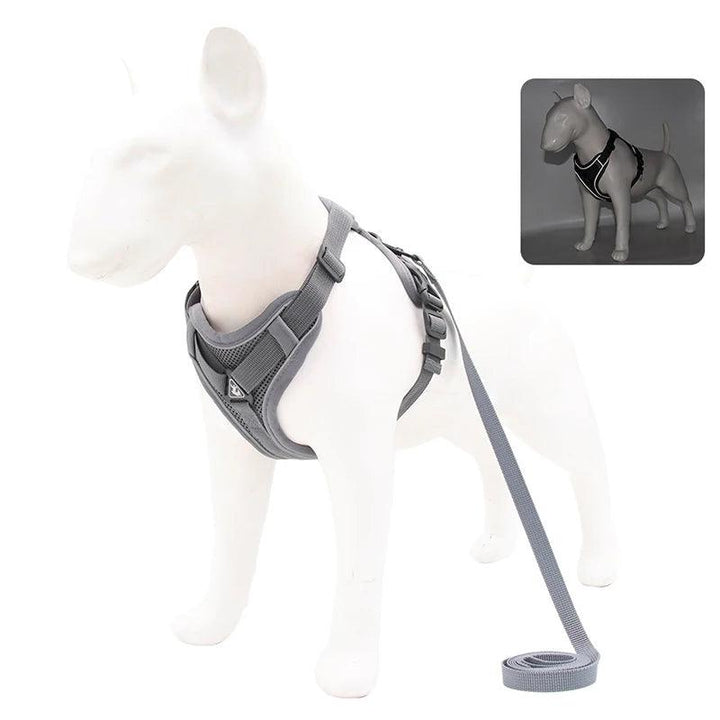 No Pull Dog Harness and Leash Set - themiraclebrands.com