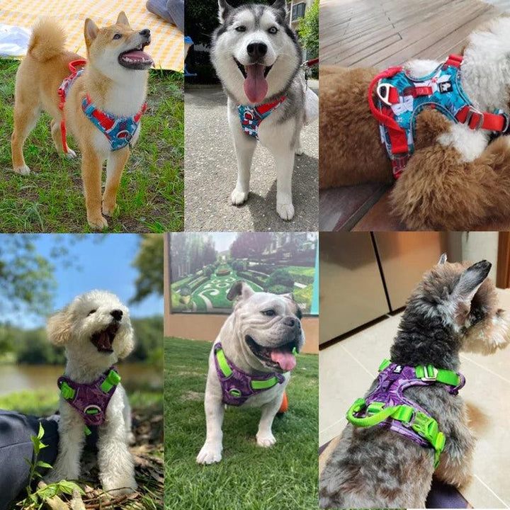 Customized Name Dog Harness - themiraclebrands.com