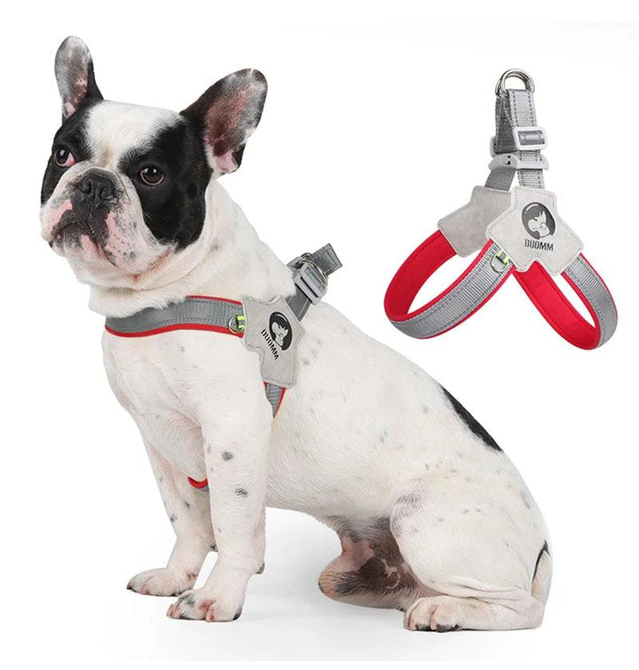 Adjustable Dog Harness for Small Medium Dogs - themiraclebrands.com