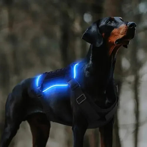 Luminous LED Dog Harness