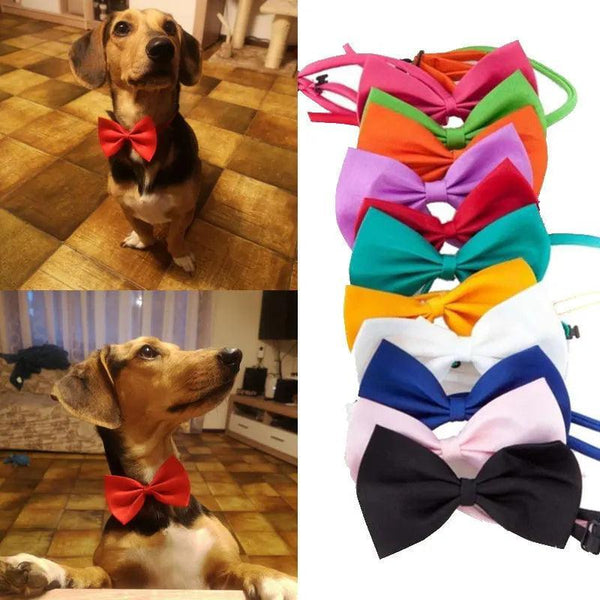 Adjustable Formal Pet Bow Tie Necklace - themiraclebrands.com