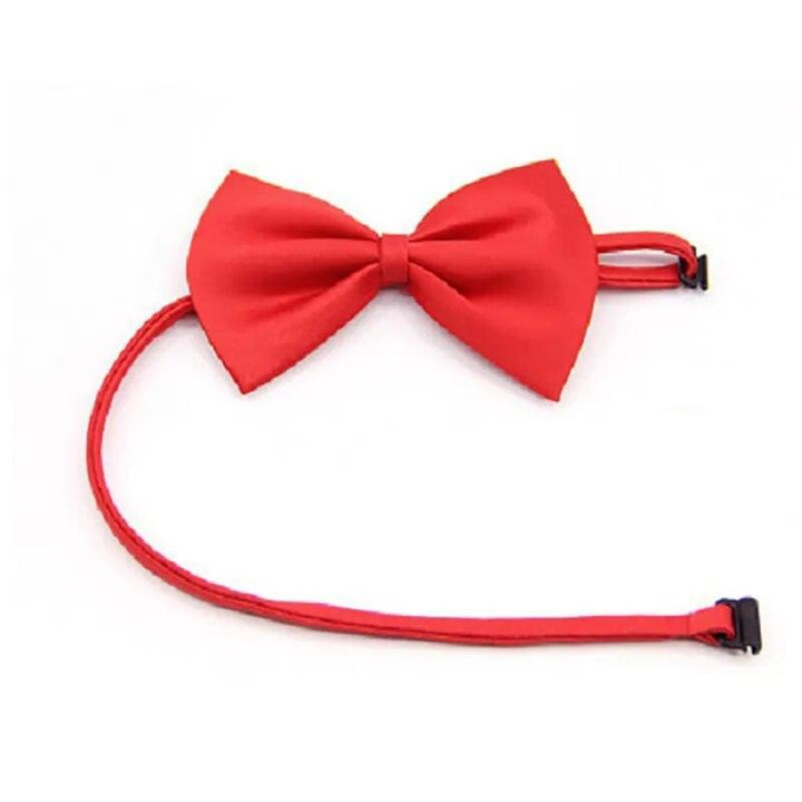 Adjustable Formal Pet Bow Tie Necklace - themiraclebrands.com