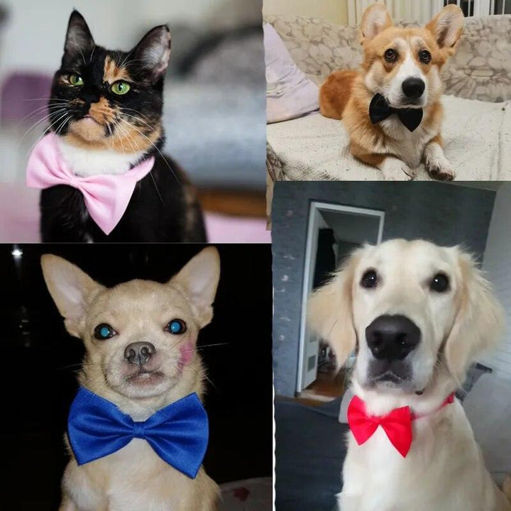 Adjustable Formal Pet Bow Tie Necklace - themiraclebrands.com