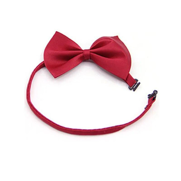 Adjustable Formal Pet Bow Tie Necklace - themiraclebrands.com