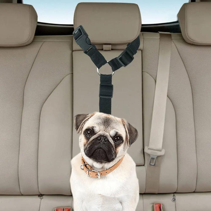 Adjustable Harness Collar with Vehicle Leash Clip - themiraclebrands.com