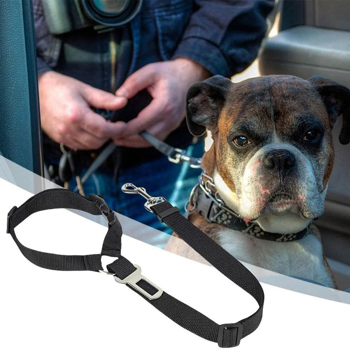 Adjustable Harness Collar with Vehicle Leash Clip - themiraclebrands.com