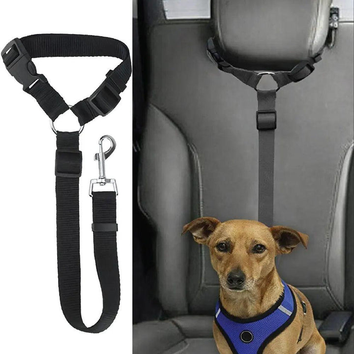 Adjustable Harness Collar with Vehicle Leash Clip - themiraclebrands.com