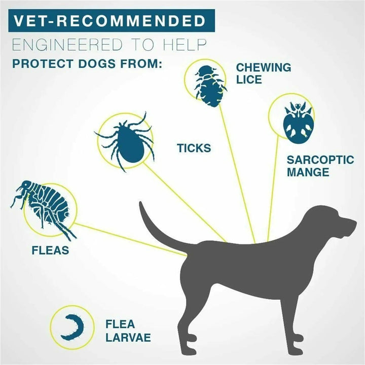 Anti-Flea & Tick Collar for Large Dogs - themiraclebrands.com