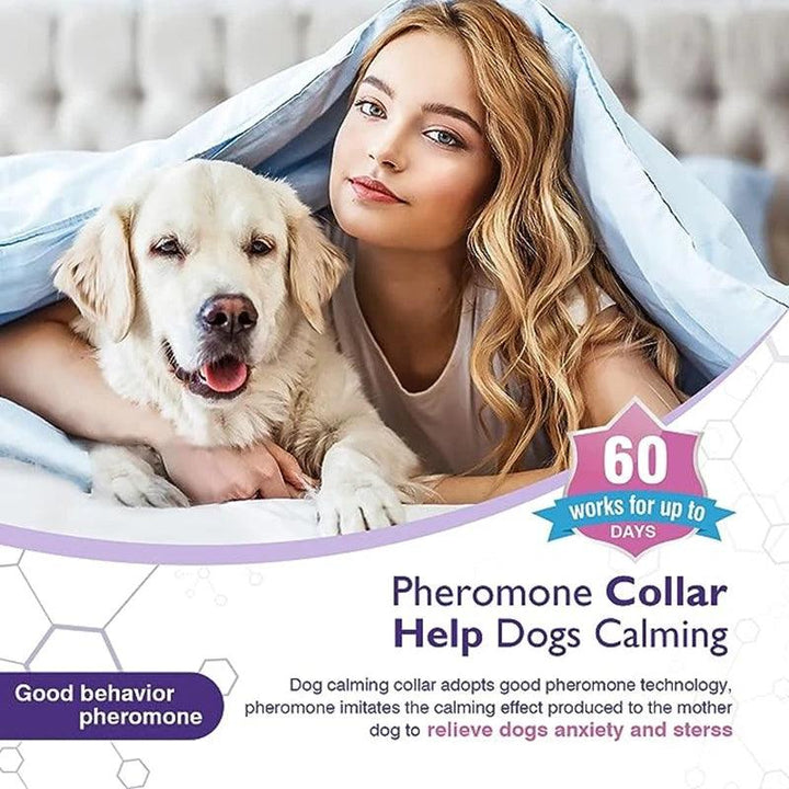 Anxiety-Relief Calming Pheromone Collars - themiraclebrands.com