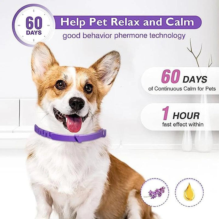 Anxiety-Relief Calming Pheromone Collars - themiraclebrands.com