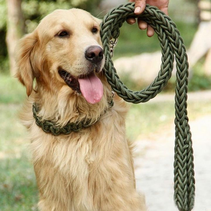 Durable Nylon Dog Leash & Collar Set - themiraclebrands.com