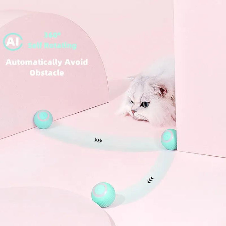 Automatic Rolling Smart Cat Toys - themiraclebrands.com