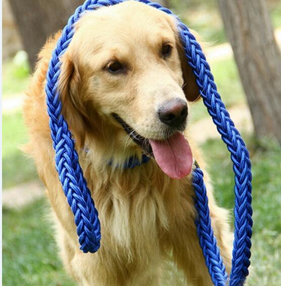 Durable Nylon Dog Leash & Collar Set - themiraclebrands.com