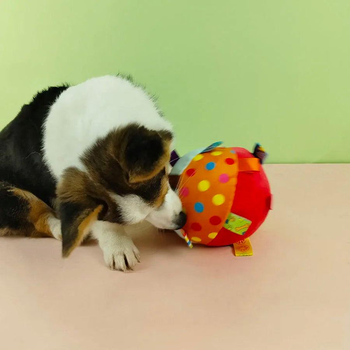 Bell-Filled Plush Dog Ball Chew Delight - themiraclebrands.com