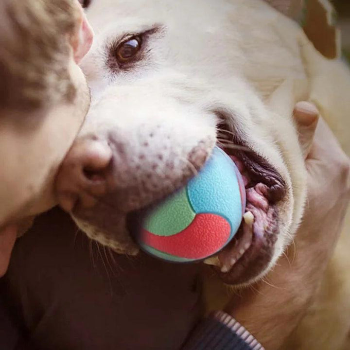 Bite-Resistant Bouncy Ball Toys for Pet Dogs - themiraclebrands.com