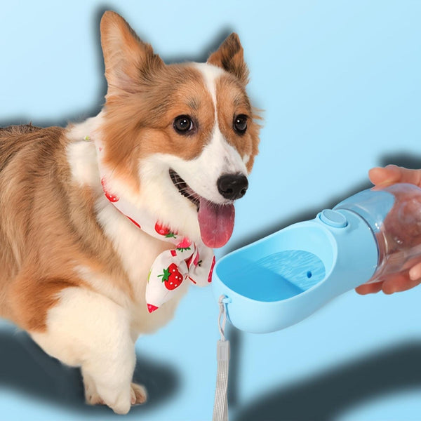 Portable Dog Water Bottle - Leakproof