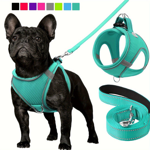 Joytale Reflective Dog Harness & Leash - Soft Padded Mesh for Small/Medium Dogs