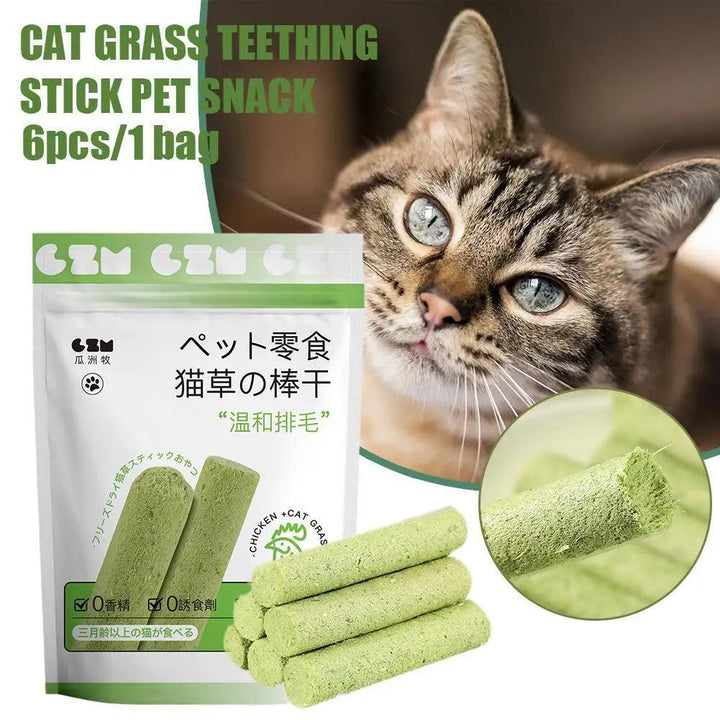 Cat Grass Teething Sticks 6pcs Healthy Smiles - themiraclebrands.com