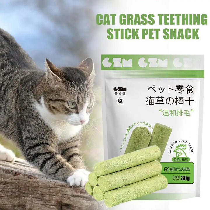 Cat Grass Teething Sticks 6pcs Healthy Smiles - themiraclebrands.com