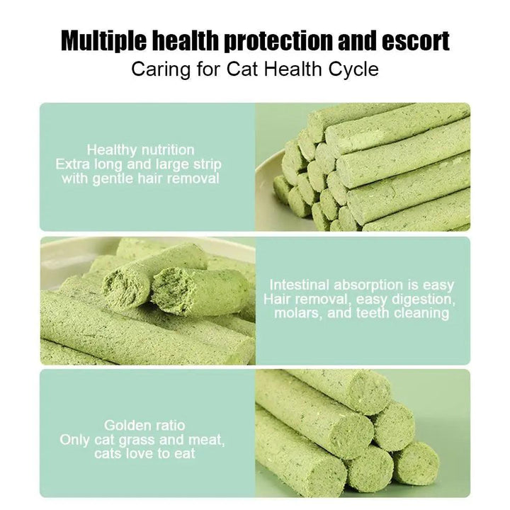 Cat Grass Teething Sticks 6pcs Healthy Smiles - themiraclebrands.com