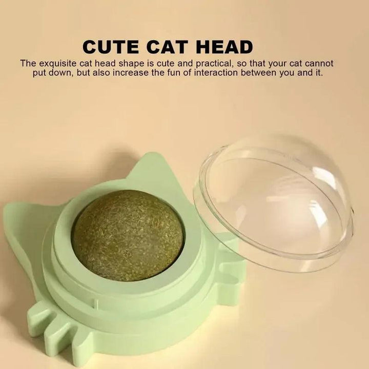 Catnip Balls Cats Fun Lickable Teeth-Cleaning - themiraclebrands.com