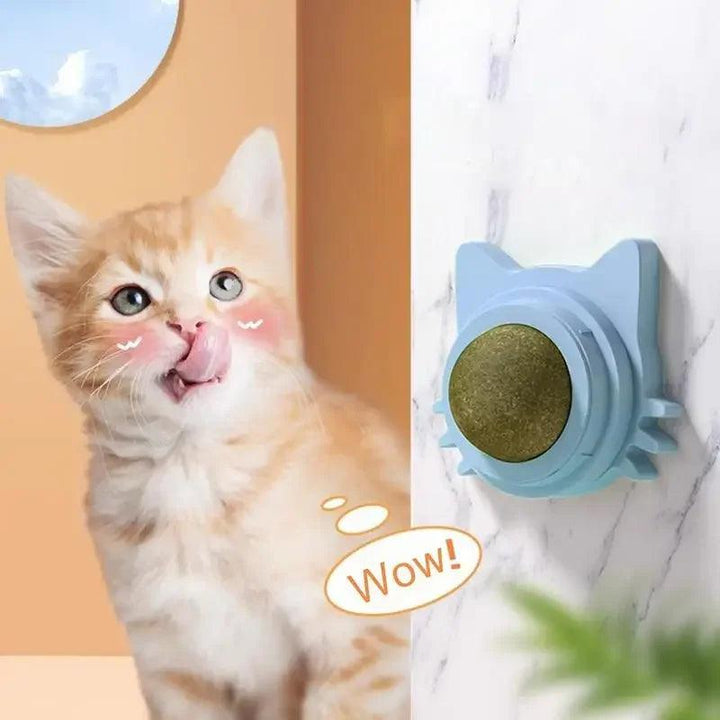 Catnip Balls Cats Fun Lickable Teeth-Cleaning - themiraclebrands.com