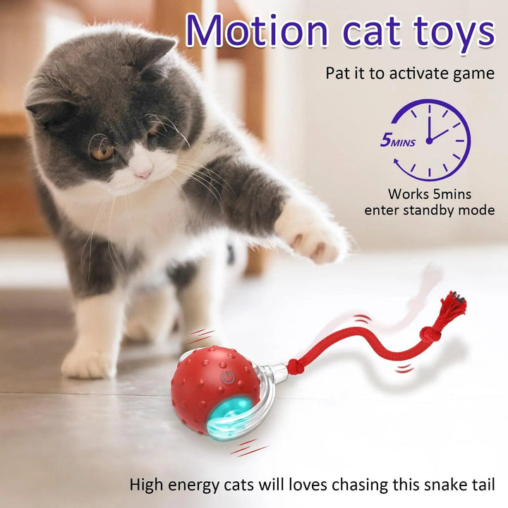 Chirping Cat Rolling Ball - themiraclebrands.com