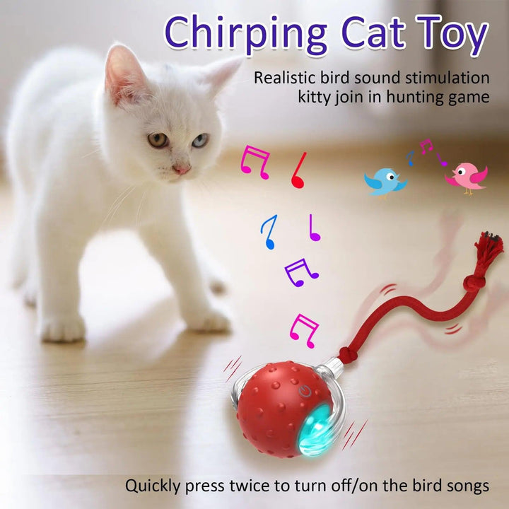 Chirping Cat Rolling Ball - themiraclebrands.com