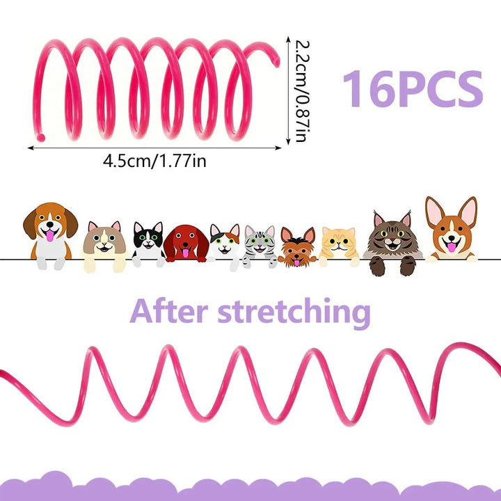 Colorful Cat Spring Toys 80pcs Pack - themiraclebrands.com