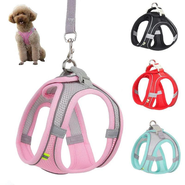 Complete Harness Leash Set - themiraclebrands.com