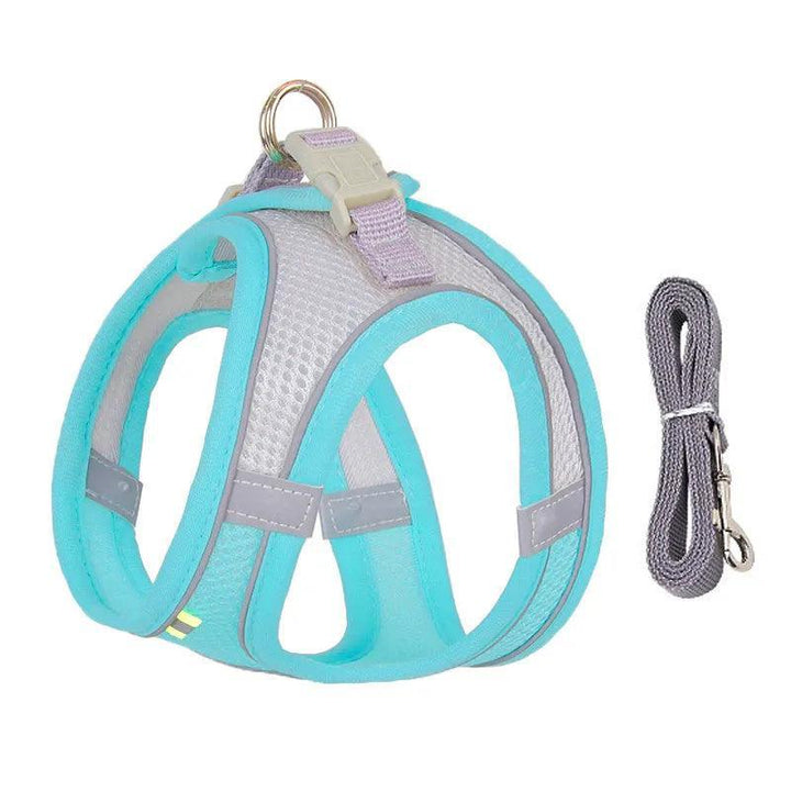 Complete Harness Leash Set - themiraclebrands.com