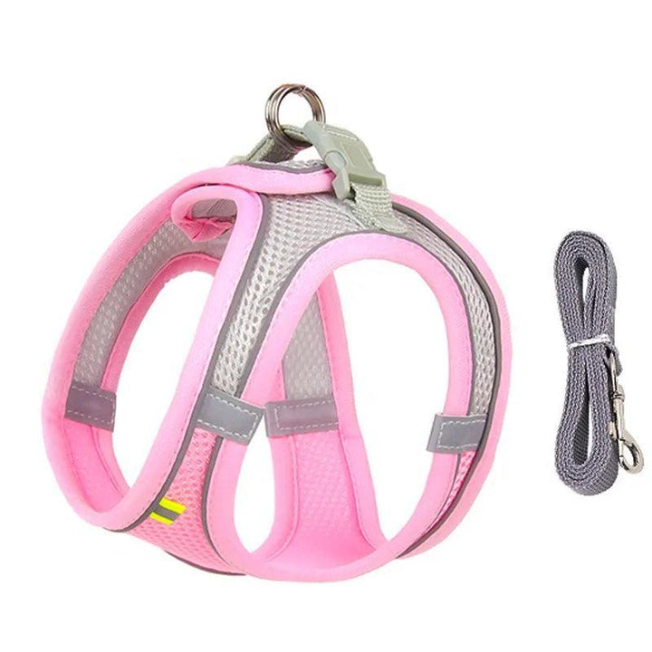 Complete Harness Leash Set - themiraclebrands.com