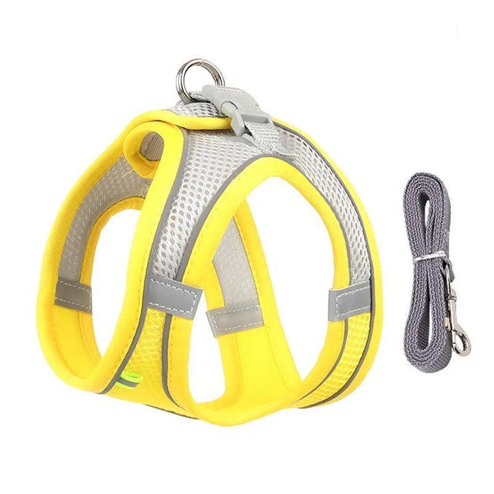 Complete Harness Leash Set - themiraclebrands.com