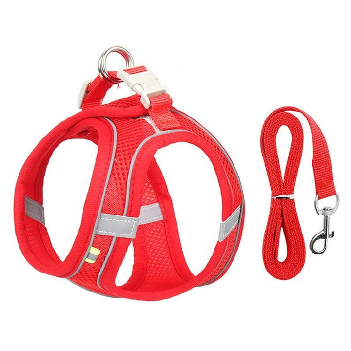 Complete Harness Leash Set - themiraclebrands.com