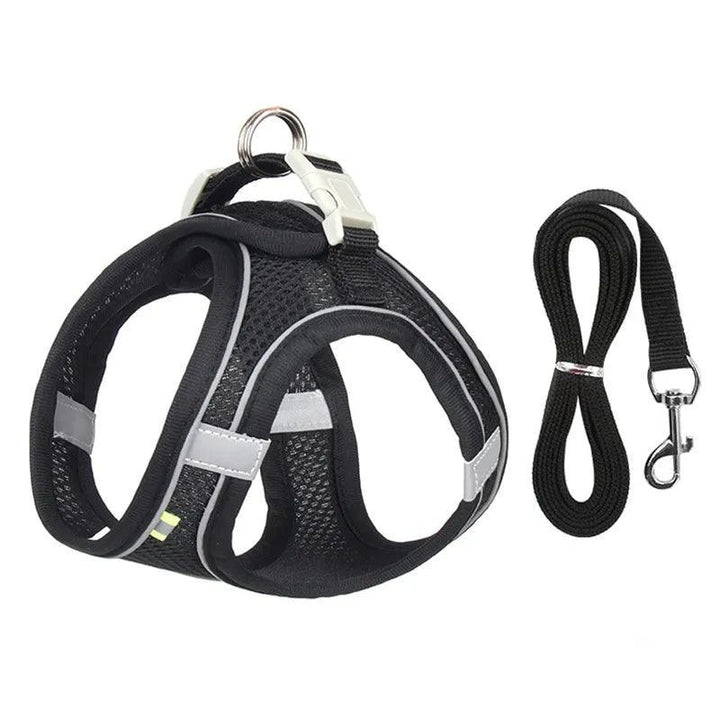 Complete Harness Leash Set - themiraclebrands.com