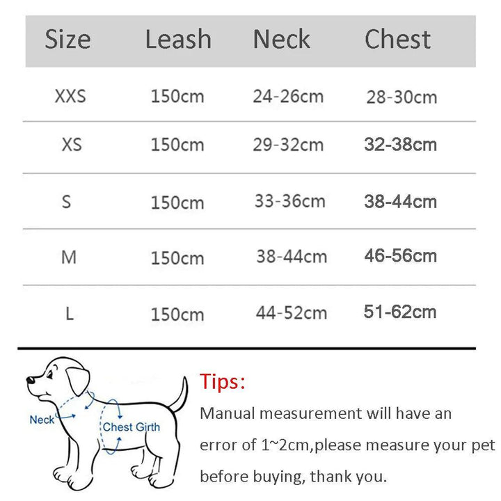 Complete Harness Leash Set - themiraclebrands.com