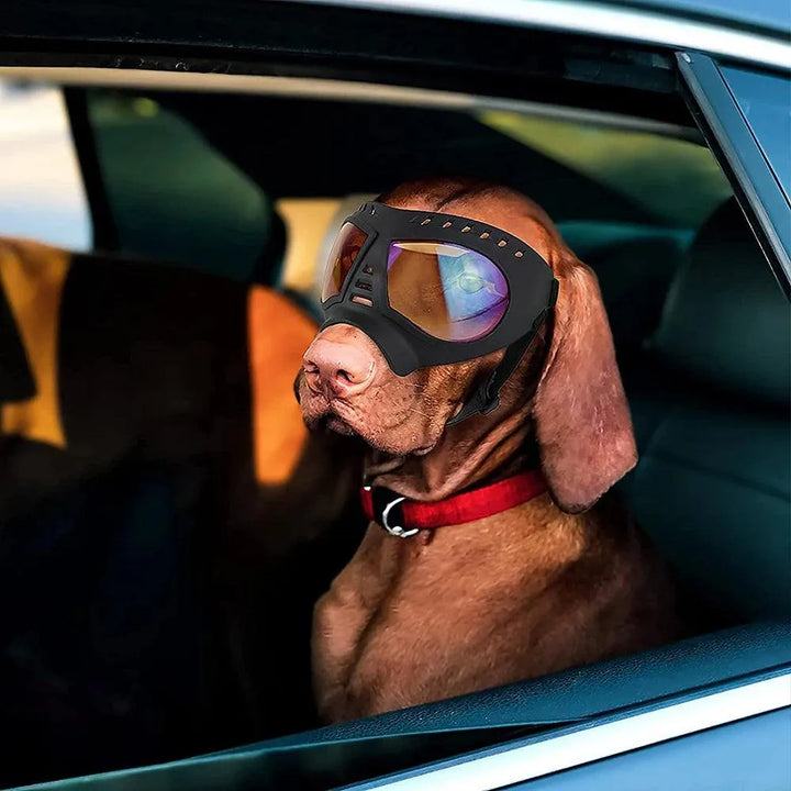 Cool Dog Sunglasses UV Protection Goggles - themiraclebrands.com