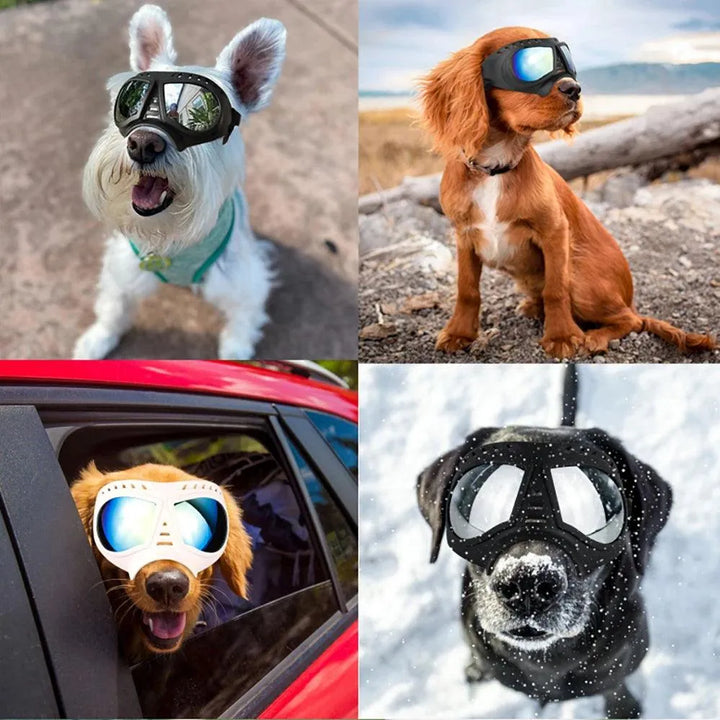 Cool Dog Sunglasses UV Protection Goggles - themiraclebrands.com