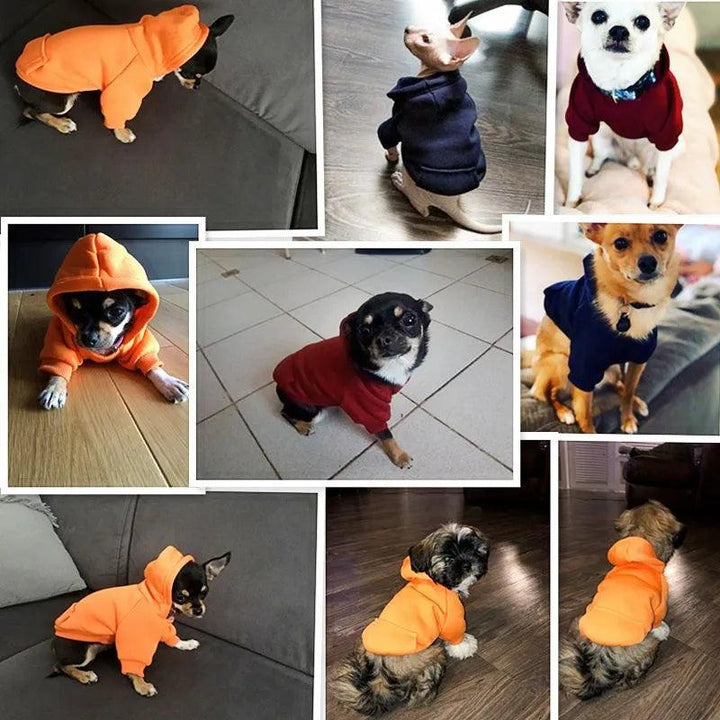 Cozy Fashionable Pet Clothes - themiraclebrands.com