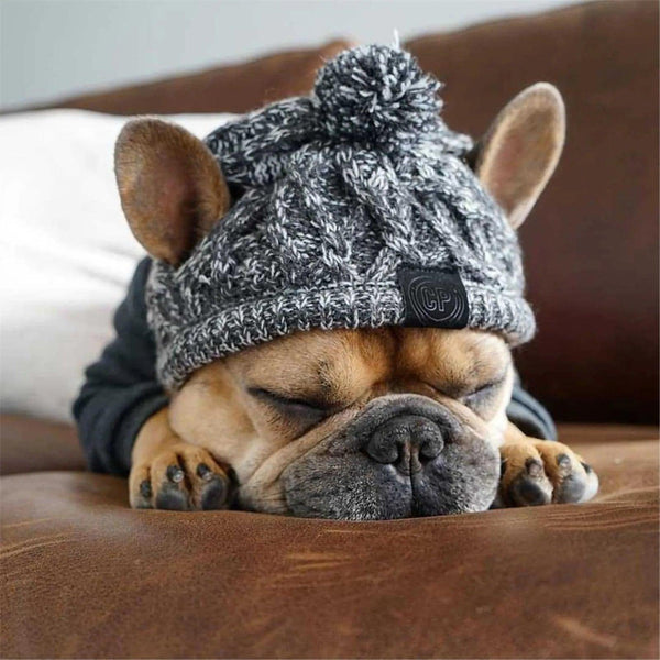 Cozy Winter Warm Dog Hats - themiraclebrands.com